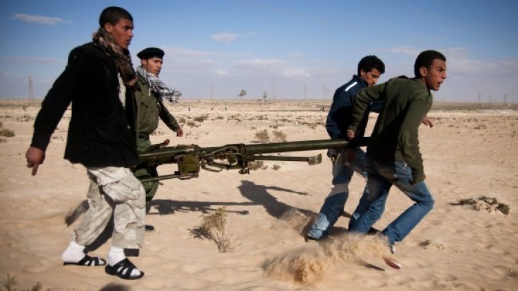 Снимка: архив, БГНЕС