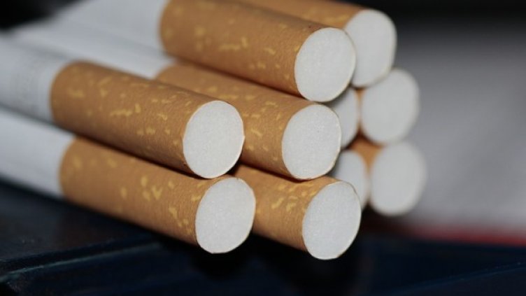 Снимка: pixabay