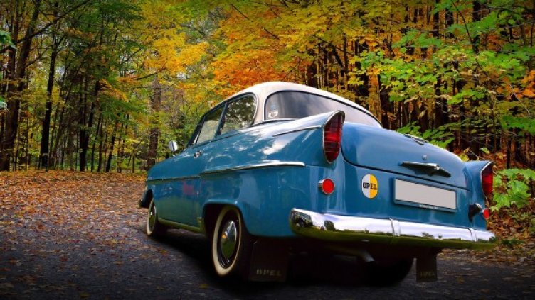 Снимка: Pixabay