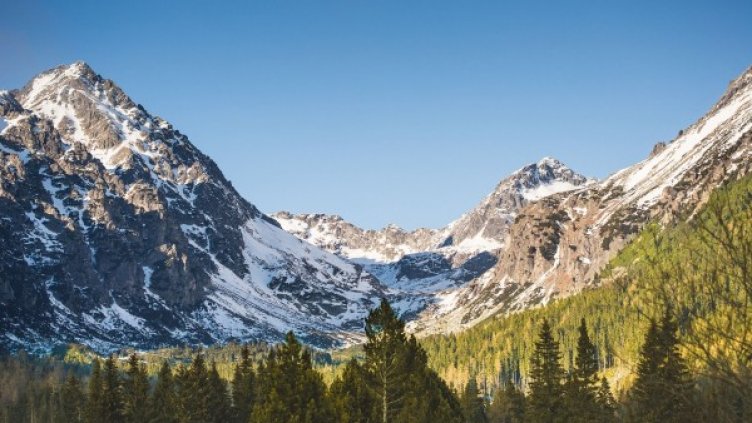 Снимка: Pixabay