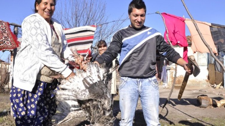 Снимка: Булфото, архив