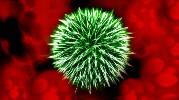 Снимка: Pixabay