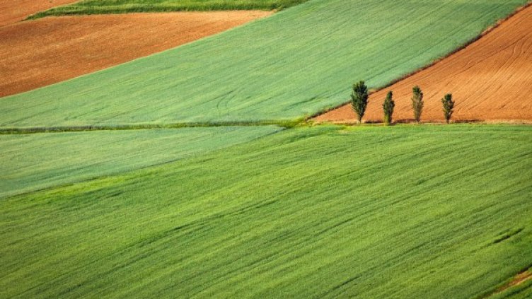 Източник: Агрион
Източник: Агрион