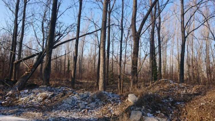 Снимка: Helpbook