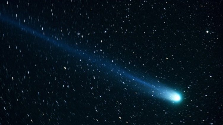 Снимка: Pixabay