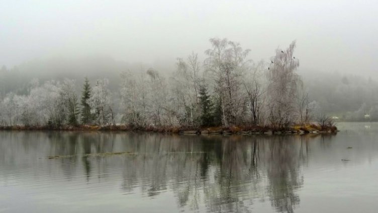 Снимка: Pixabay