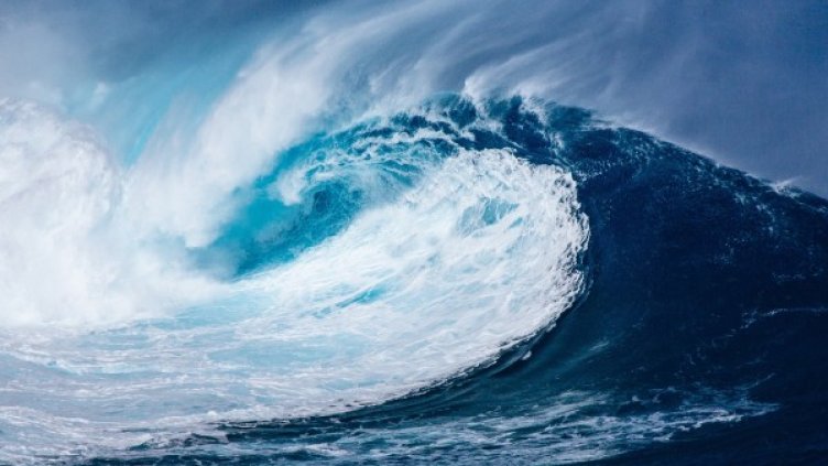 Снимка: Pixabay