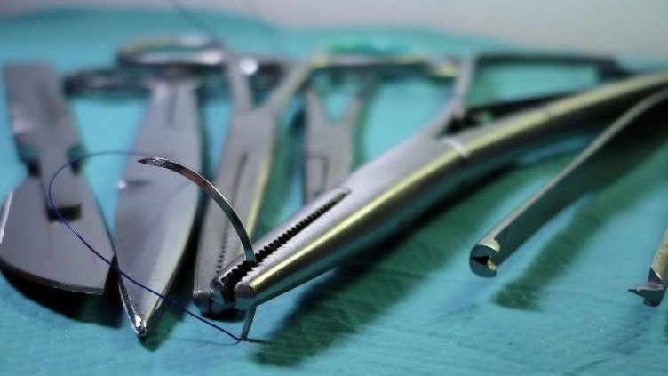 Снимка: Pixabay