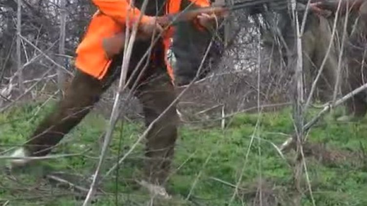 Снимка: Bulgaria ON AIR