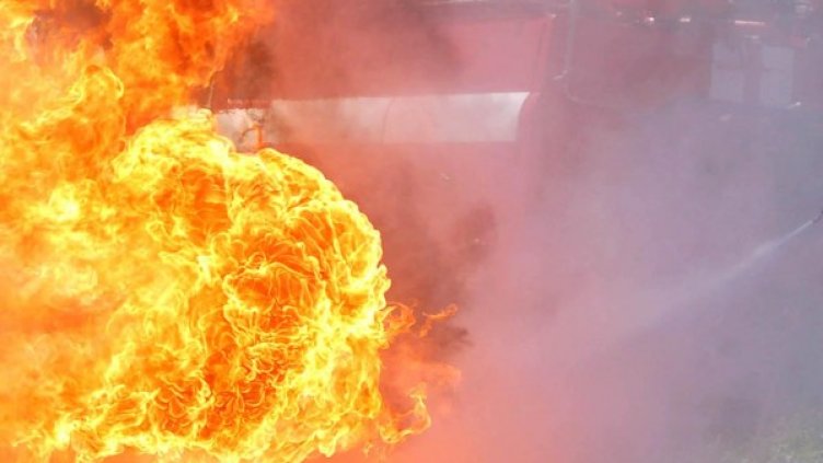 Архив: Булфото