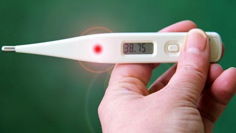 Снимка: Pixabay