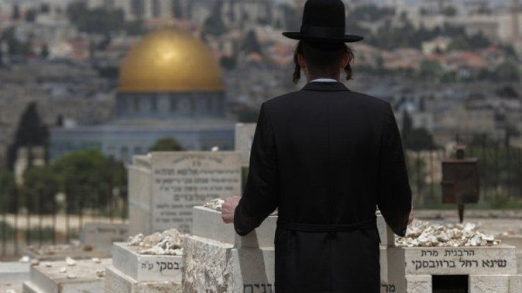 Снимка: архив, БГНЕС