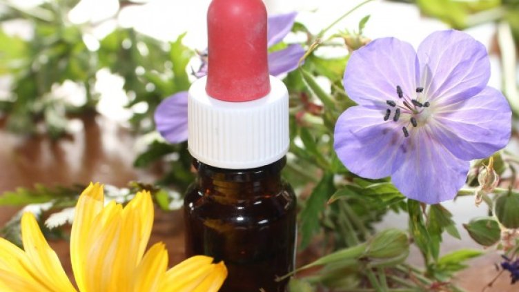 Снимка: Pixabay