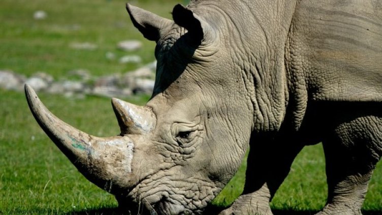 Снимка: Pixabay