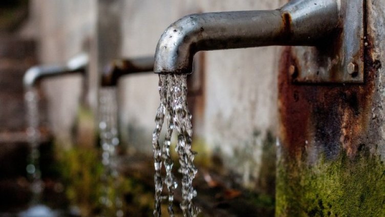 Снимка: Pixabay