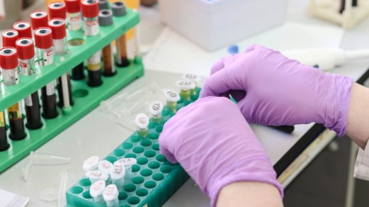 Снимка: Pixabay