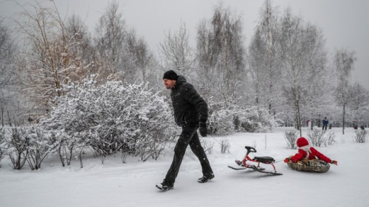 Снимка: архив, БГНЕС