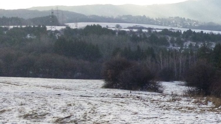 Снимка: архив, БГНЕС