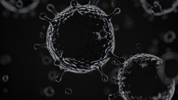 Снимка: Pixabay