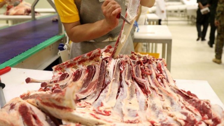 Снимка: архив, БГНЕС