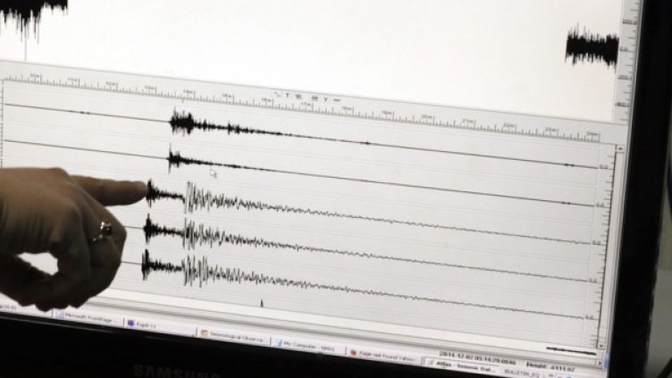 Снимка: архив, БГНЕС