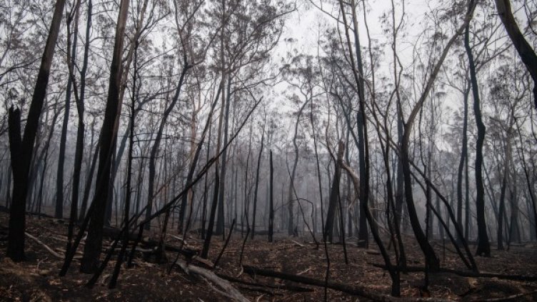 Снимка: БГНЕС