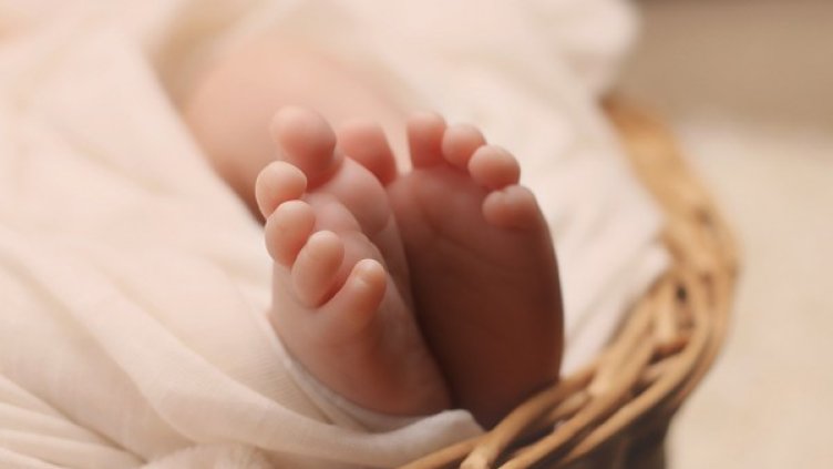 Снимка: Pixabay