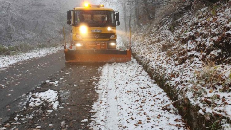 Снимка: БГНЕС