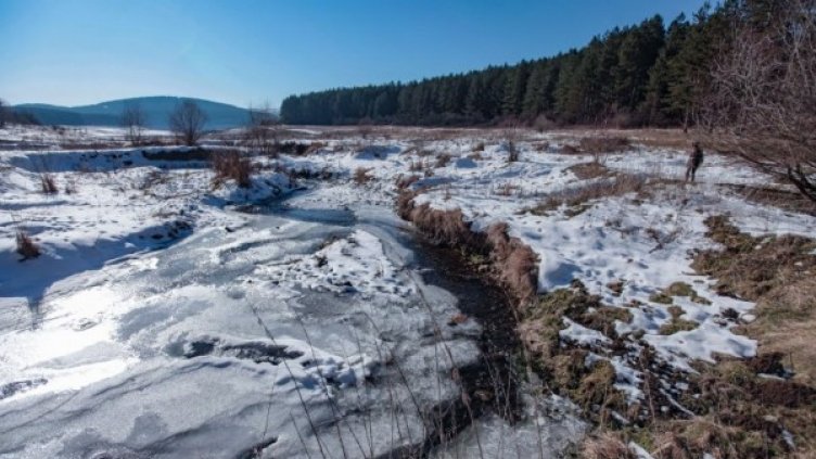 Снимка: Димитър Кьосемарлиев, Dnes.bg