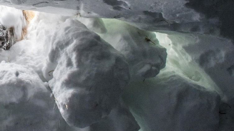 Снимка: архив, БулФото