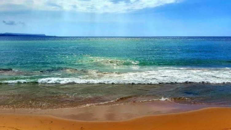 Снимка: Facebook