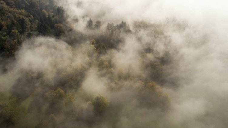 Снимка: Pixabay