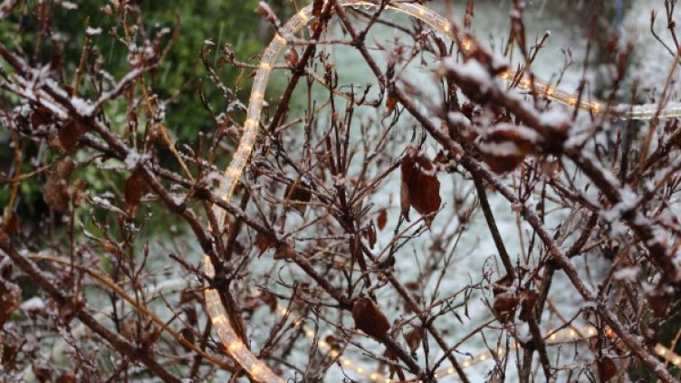 Снимка: БГНЕС