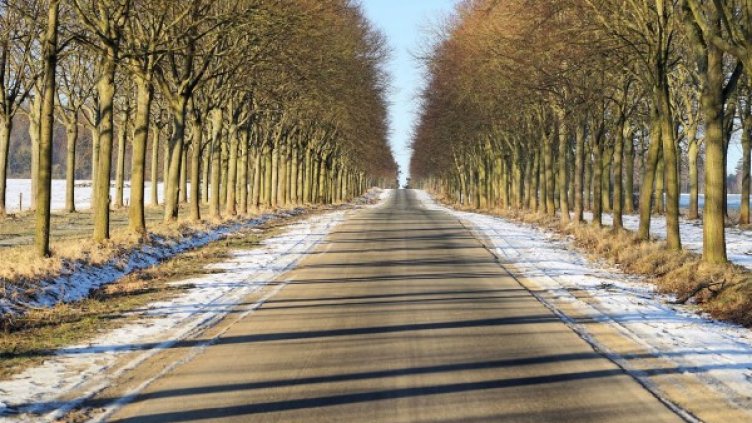 Снимка: Pixabay