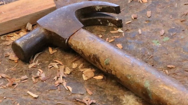 Снимка: Pixabay