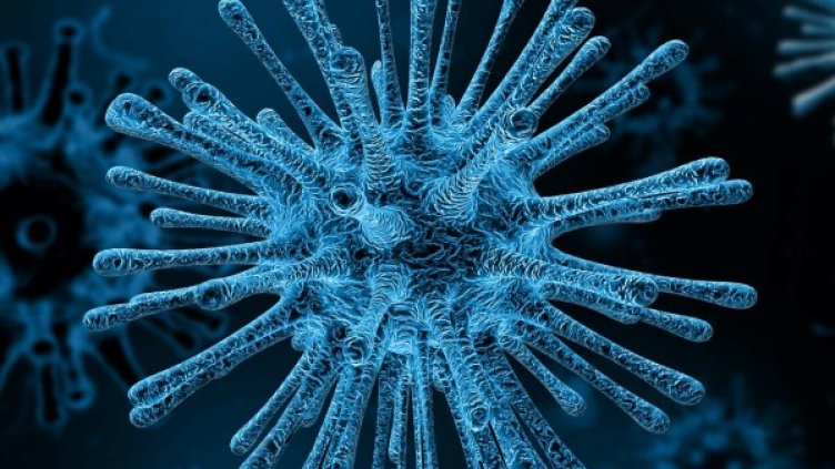 Снимка: Pixabay