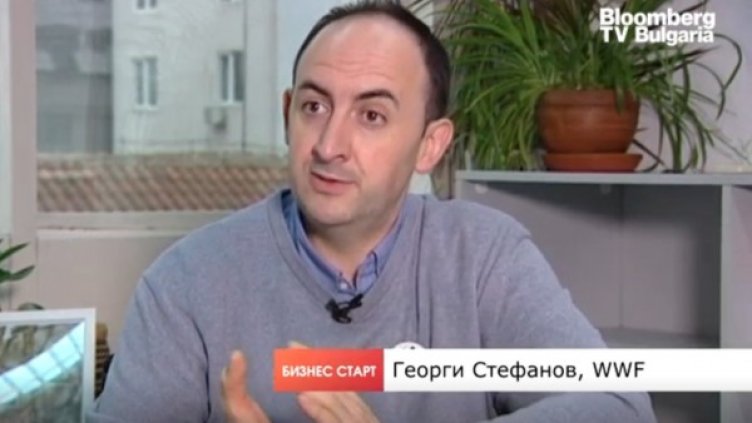 Снимка: Bloomberg TV Bulgaria