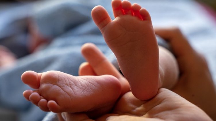 Снимка: Pixabay