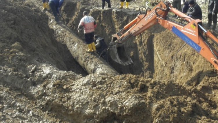 Снимка: архив, БГНЕС