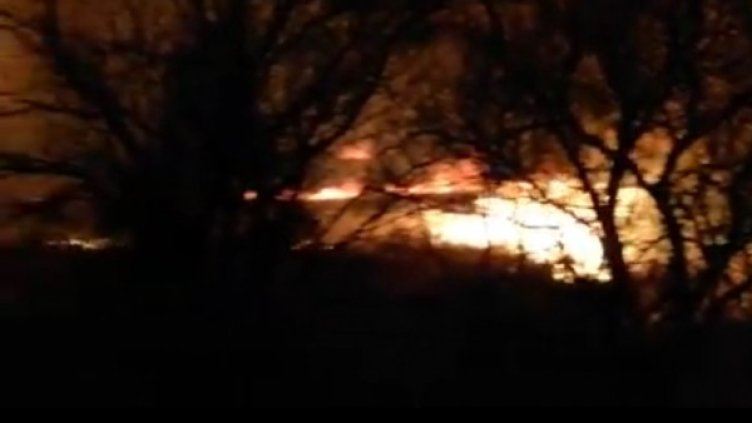 Снимка: Facebook