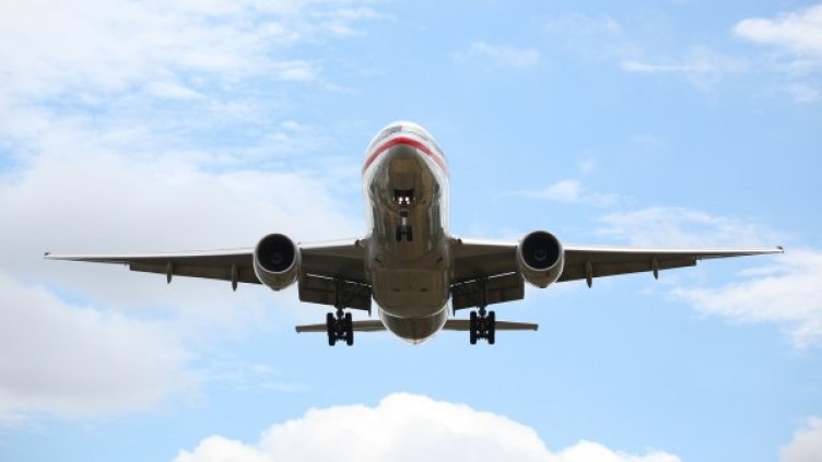 Снимка: Pixabay