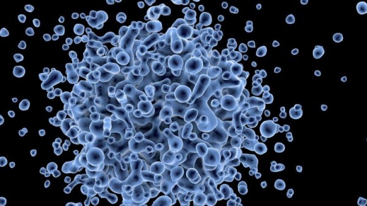 Снимка: Pixabay