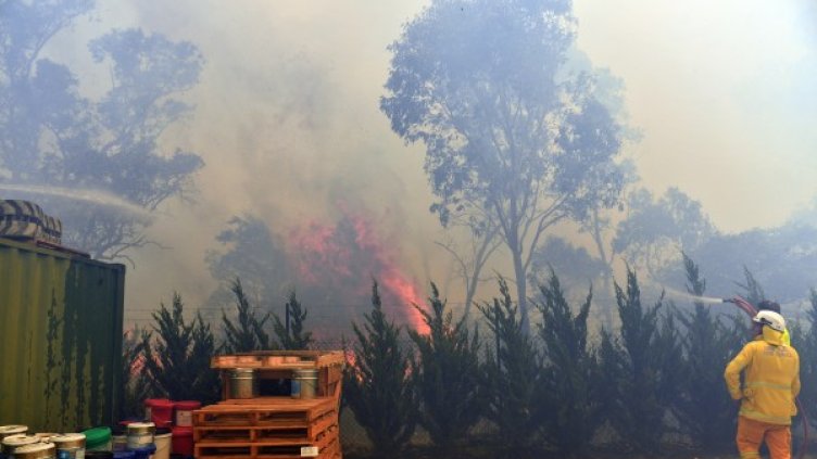 Снимка: БГНЕС