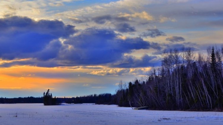 Снимка: Pixabay