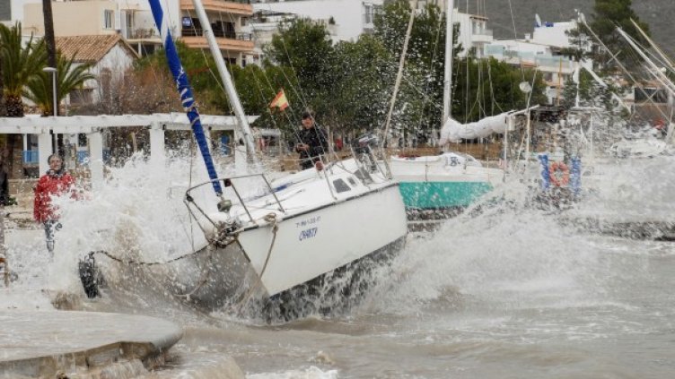 Снимка: БГНЕС