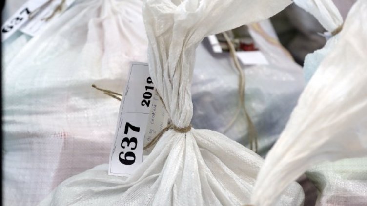 Снимка: архив, БГНЕС