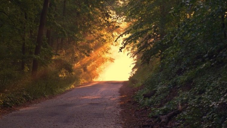 Снимка: Pixabay