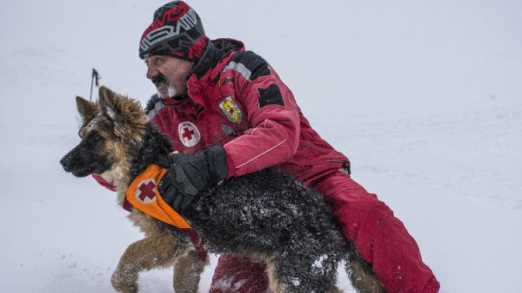 Снимка: Булфото, архив
