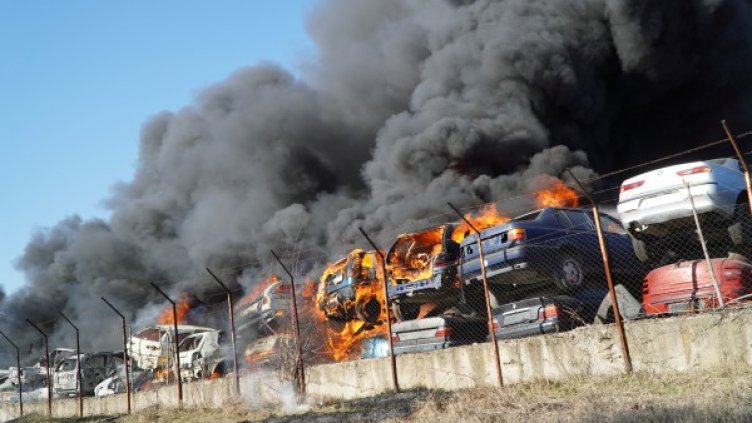 Снимка: БГНЕС