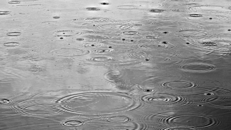 Снимка: Pixabay